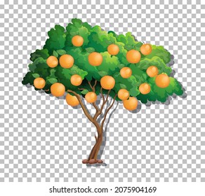 Orange tree on transparent background illustration