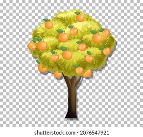 Orange tree on transparent background illustration