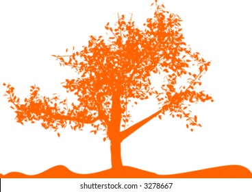 orange tree on white