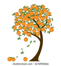 Árbol naranja. Frutas naranjas. Ilustración vectorial. 