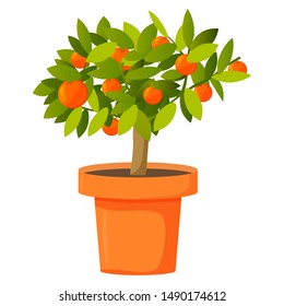 Orange tree in a pot. Tropical citrus fruit. Vector illustration.Isolated on a white background.