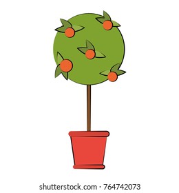 Orange tree in vase