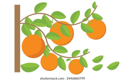 Orange Tree Vektorgrafik Design und Illustration.