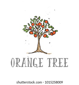 Orange tree vector, grungy, rustic illustration. Suitable for logo design.