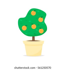 Orange tree vector illustration