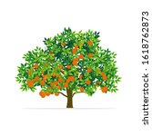 orange tree with white background. illustration vector