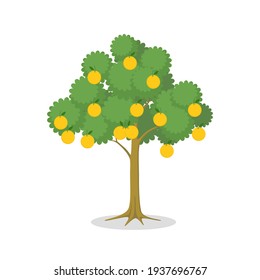 Árbol naranja.Estilo plano de diseño.Aislado sobre fondo blanco.Ilustración vectorial sobre la fruta.