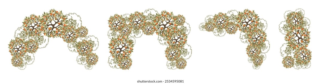 Laranjeiras para plantas baixas arquitetônicas. Elemento da vista superior. Entourage design para o plano de projeto de paisagem. Ilustração vetorial.