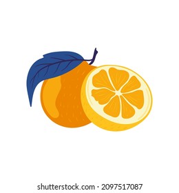 Orange. Tropical fruit and graphic design elements. Ingredients color cliparts. Sketch style smoothie or juice ingredients.