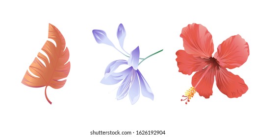 Orange Tropical Leaf. Violet Agapanthus Lily. Red Hibiscus. Vector illustration. Isolated illustration element. Floral botanical flower. Wild leaf wildflower isolated. Exotic tropical hawaiian.