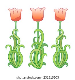 Orange tulips