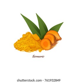 Orange turmeric sliced and ground with green leaves. Herbal plant that used as spices and medicines isolated vector illustration on white background.