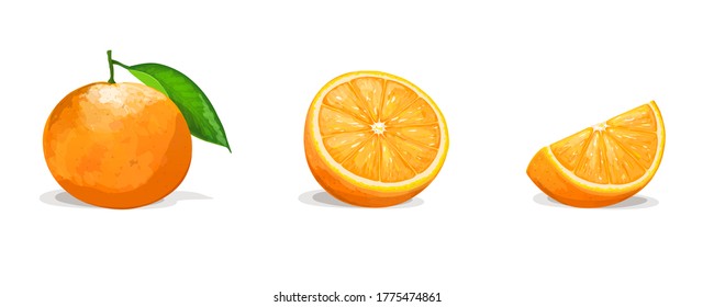 Orange with two slices isolated on white background. Vector illustration