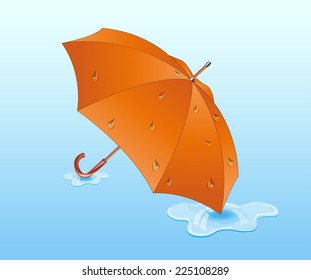 Orange umbrella.