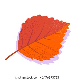 Orange vector birch leaf with shadow, isolated on white background. Single autumn leaf.