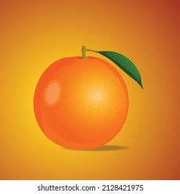 Diseño vectorial de naranja, ilustración de naranja, vector de fruto,