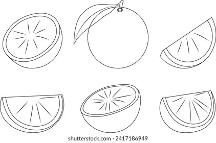 Orange vector doodle elements and lettering set, orange hand drawn outline of whole fruit, oranges on a branch, cut orange, black line art.