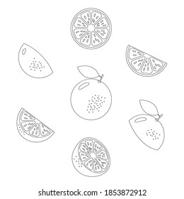 Orange vector doodle line icon set. Grapefruit linear hand drawn symbol group. Healthy vitamin fruits concept. Vector illustration isolated on white.