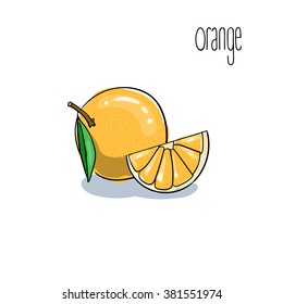 Orange. Vector drawing, sketch.
One image from fruits series.