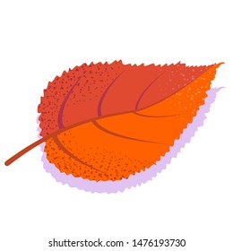 Orange vector elm leaf with shadow, isolated on white background. Single autumn leaf.