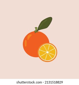 vector naranja. ilustración de fruta fresca.