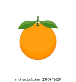 Orange vector fruit icon isolated on a white background.Vector illustration