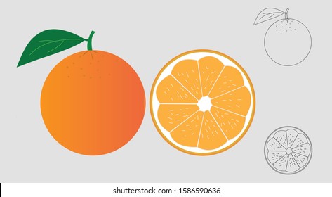 orange vector graphic design and orange line icons and orange half slice