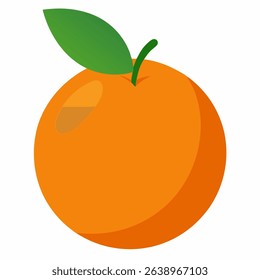Orange Vector – Hamlin Orange Fruit with Leaves Isolated on White Background Realistic Vector 