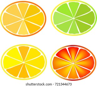 Orange vector, icon.