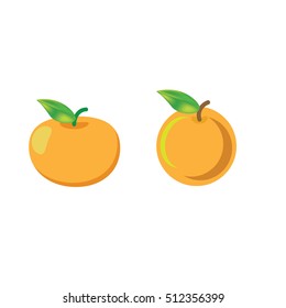 orange vector icon cartoon style isolated on white background. 
