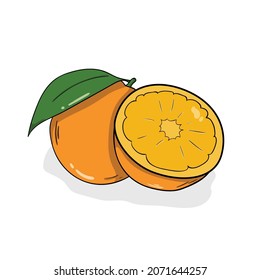 orange vector icon hand drawn illustration