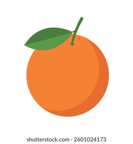 Orange vector icon , Orang fruit.