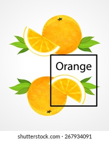  Orange vector illustration.