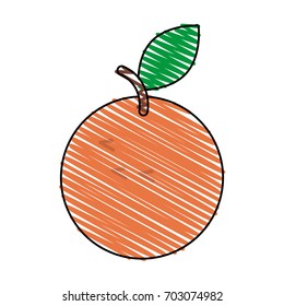 orange vector illustration