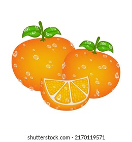 orange, vector illustration with bright color, wet, fresh and dewy, suitable for juice drink packaging, restaurant, vegetarian, agriculture, vitamin, nutrition, printing