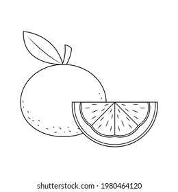 Orange vector illustration cartoon isolated on white background. Cute orange vector coloring page.