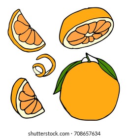 Orange Vector illustration. Doodle style. Design icon, print, logo, poster, symbol, decor, textile, paper, card. 