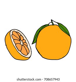 Orange Vector illustration. Doodle style. Design icon, print, logo, poster, symbol, decor, textile, paper, card. 