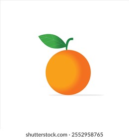 Ilustración vectorial naranja eps 10