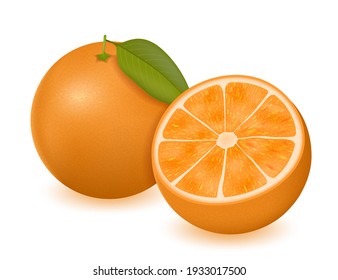 Orange vector illustration. Fresh ripe orange with leaves isolated on white background. Realistic citrus fruit.