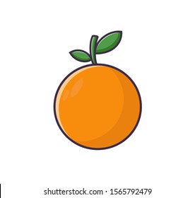 Orange in vector. Illustration of fruit in flat style