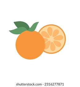 Orange Vector, Orange Illustration, Orange Icon, Orange Half, Citrus, Citrus Icon, Fruit Vector, Vector Illustration Background	