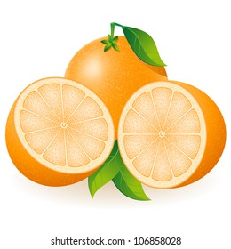 orange vector illustration isolated on white background