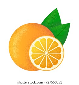 Orange vector illustration. Isolated on white background. Retro grain style. Orange in simple shapes and colorful colors.