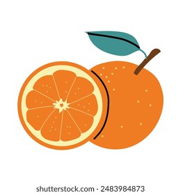 Orange. Vector illustration. Juicy and fresh citrus. White isolated background. 