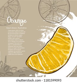 Orange vector illustration on background design. fruit background.
