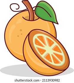 orange Vector illustration on a transparent background.Premium quality symmbols.Vector line flat icon for concept and graphic design.
