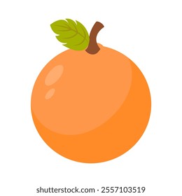 Orange Vector Illustration. Perfect for Natural and Organic Design Themes.