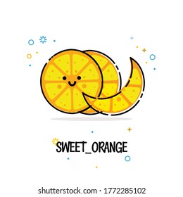 
ilustración vectorial naranja. naranja dulce. Cortes de fruta, naranjas. Fondo blanco con matices sencillos pero elegantes