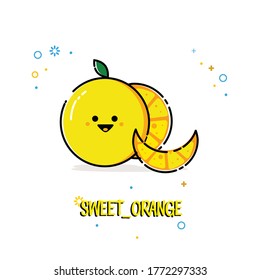 
orange vector illustration. sweet orange. Fruit slices, oranges. White background with simple but elegant nuances